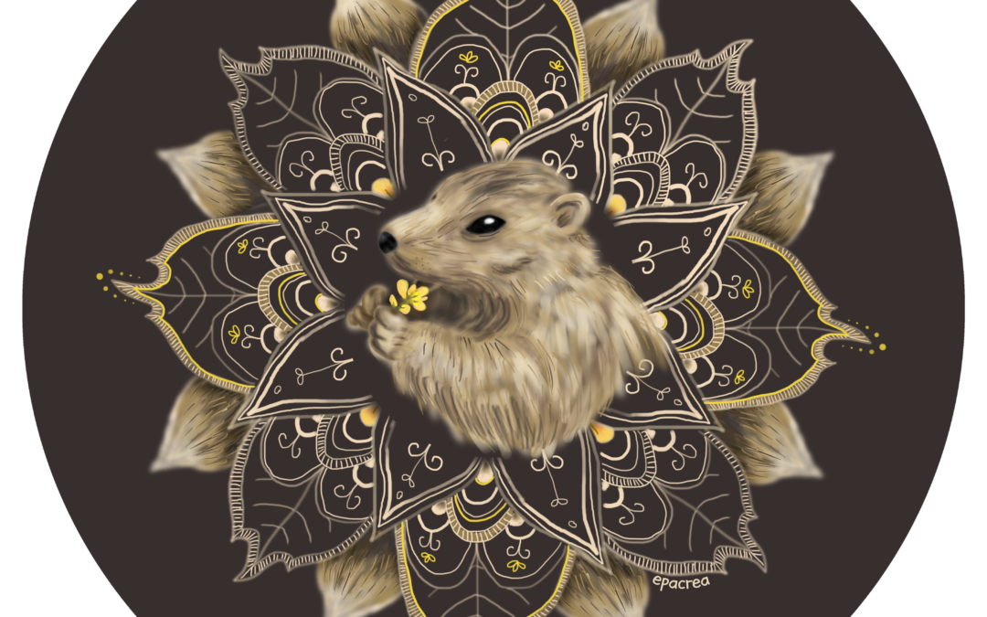 Marmotte & amitié