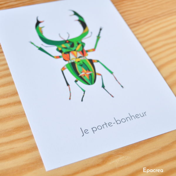 carte scarabee