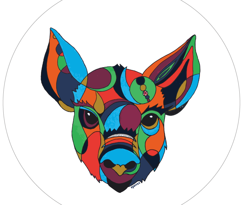 Porci-nait