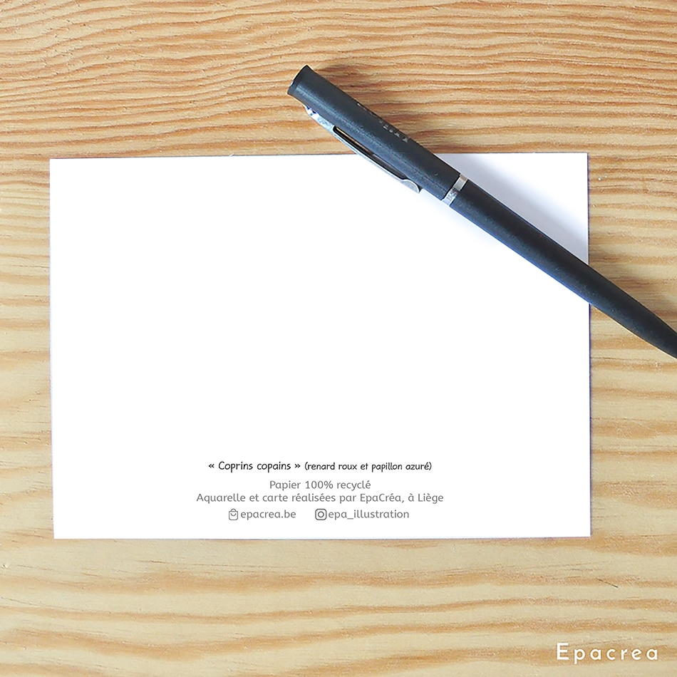 CARTE Coprins copains – Image 2
