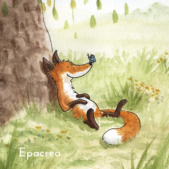 CARTE Coprins copains – Image 3